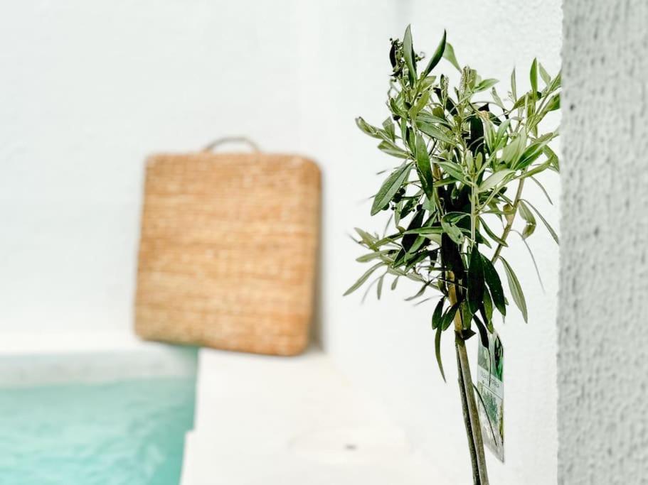 Costa Inn Beach House With Pool By Homeful Homes Costa da Caparica Extérieur photo